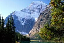 泰达主场受挫，球队将如何调整策略应对未来比赛？的简单介绍